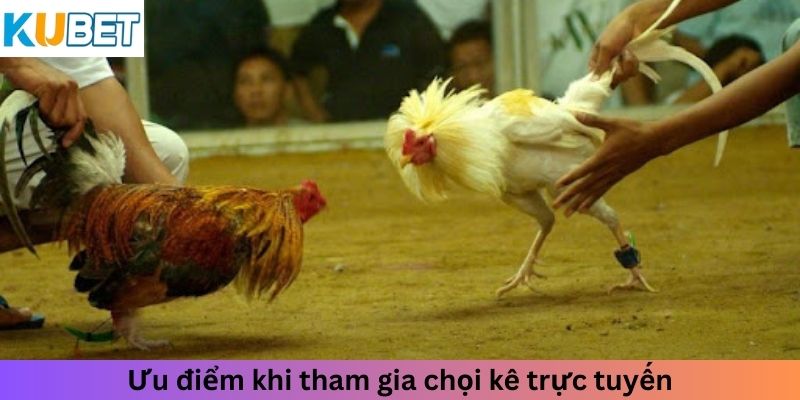 Ưu điểm khi tham gia chọi kê trực tuyến