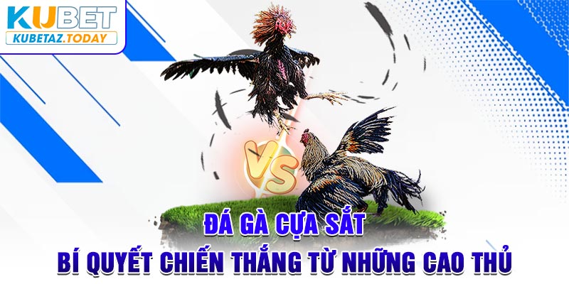 Đá Gà Cựa Sắt - Bí Quyết Chiến Thắng Từ Những Cao Thủ