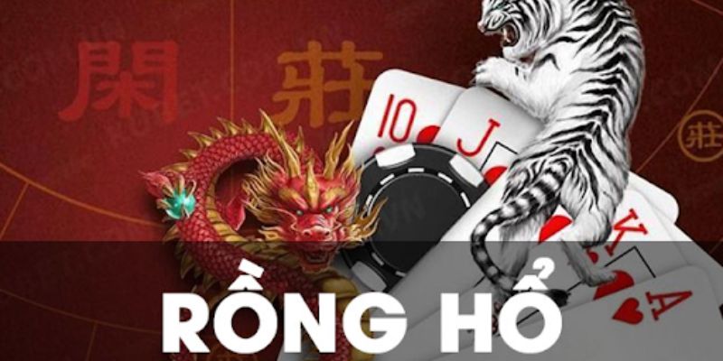 Lưu ý khi chơi Rồng Hổ Kubet