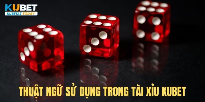 Thuật ngữ dùng trong Tài Xỉu Kubet